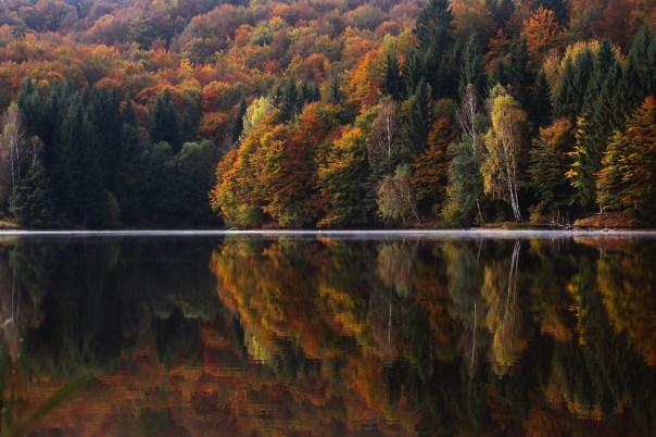body of water near orange and green leaf trees